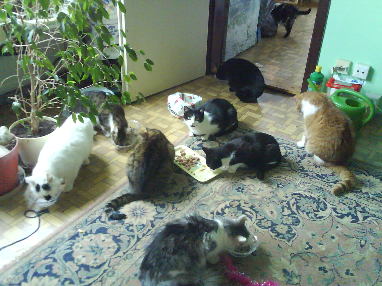DSC00039 (1)