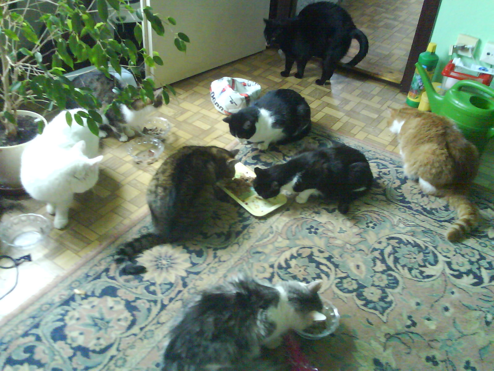 DSC00040