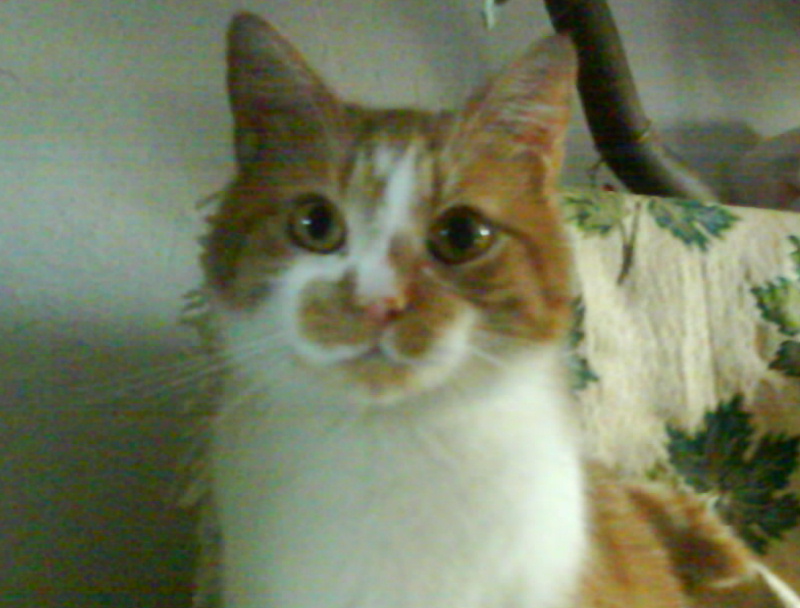 DSC00046