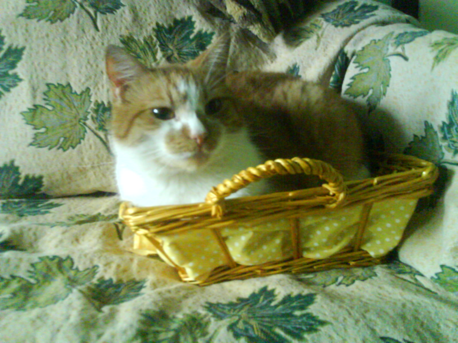 DSC00117