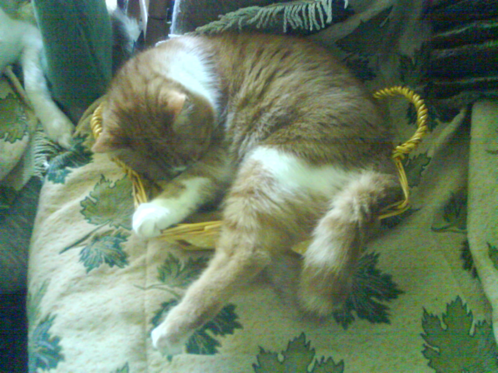 DSC00123
