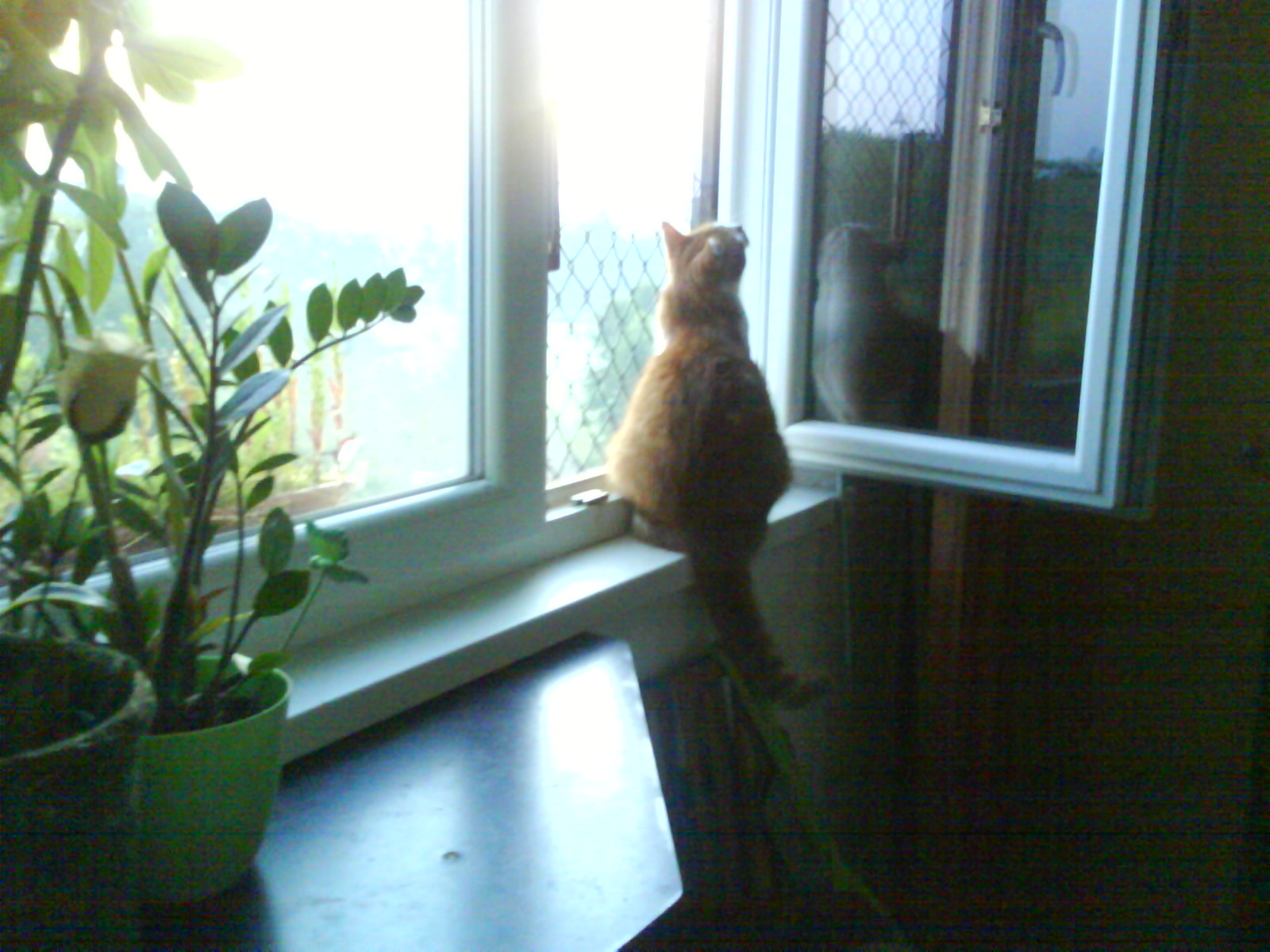 DSC00140