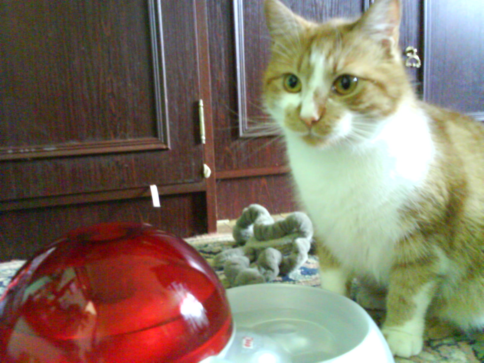 DSC00259