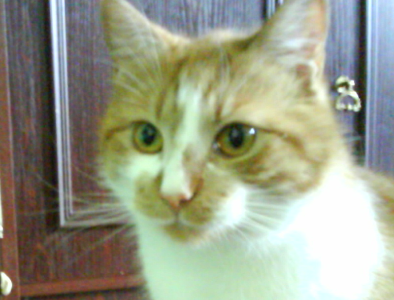 DSC00259 (1)