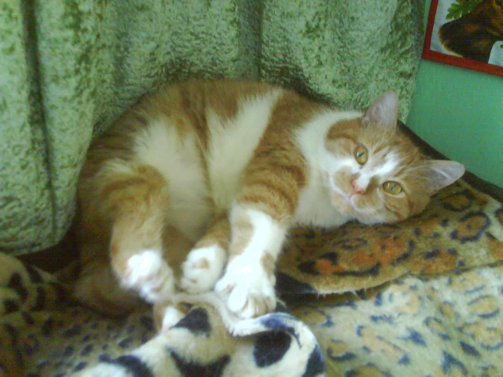 DSC00418