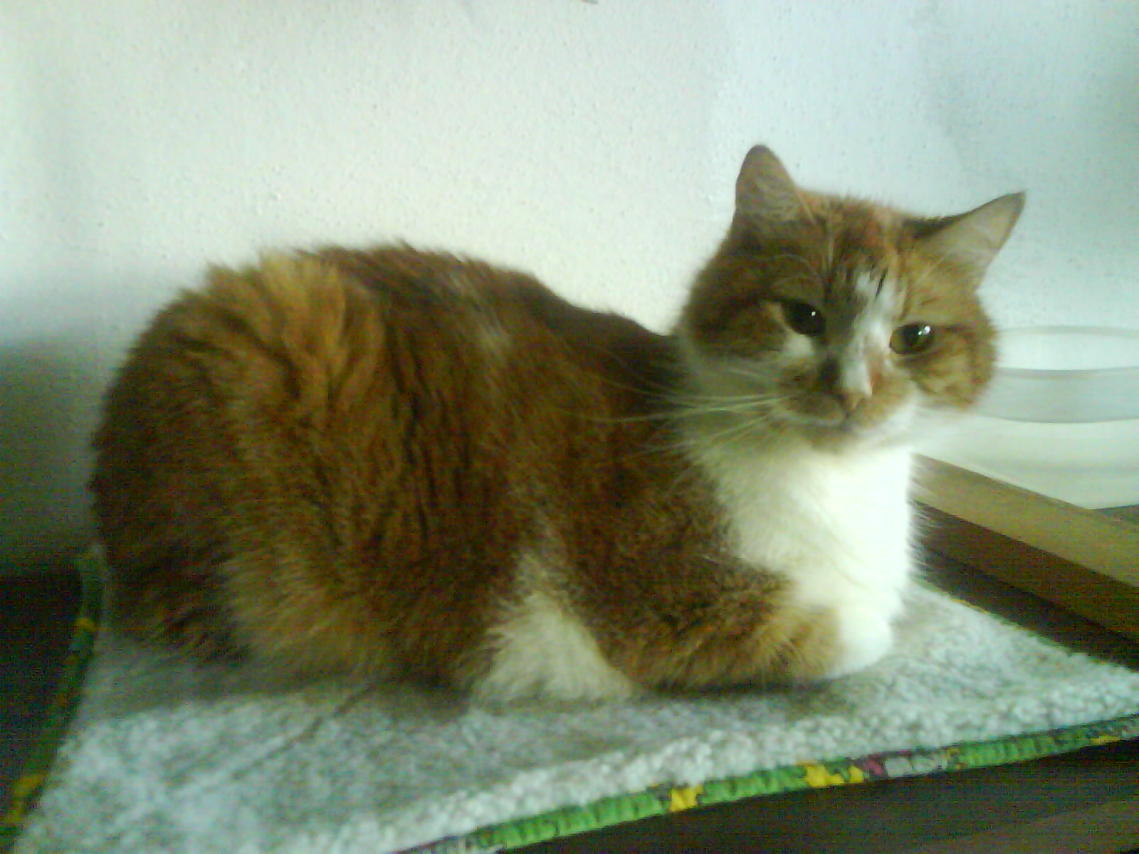 DSC00526