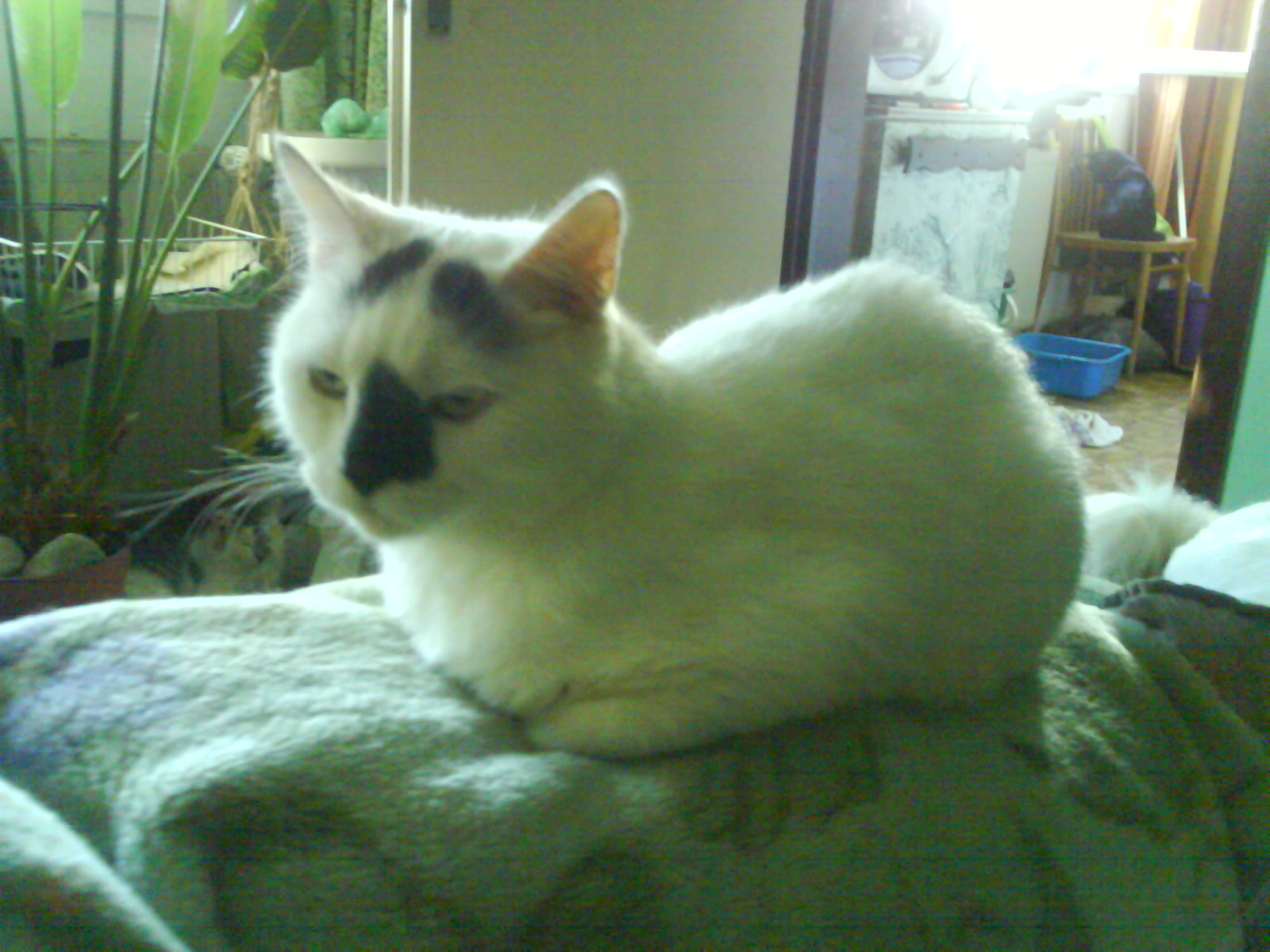 DSC00060