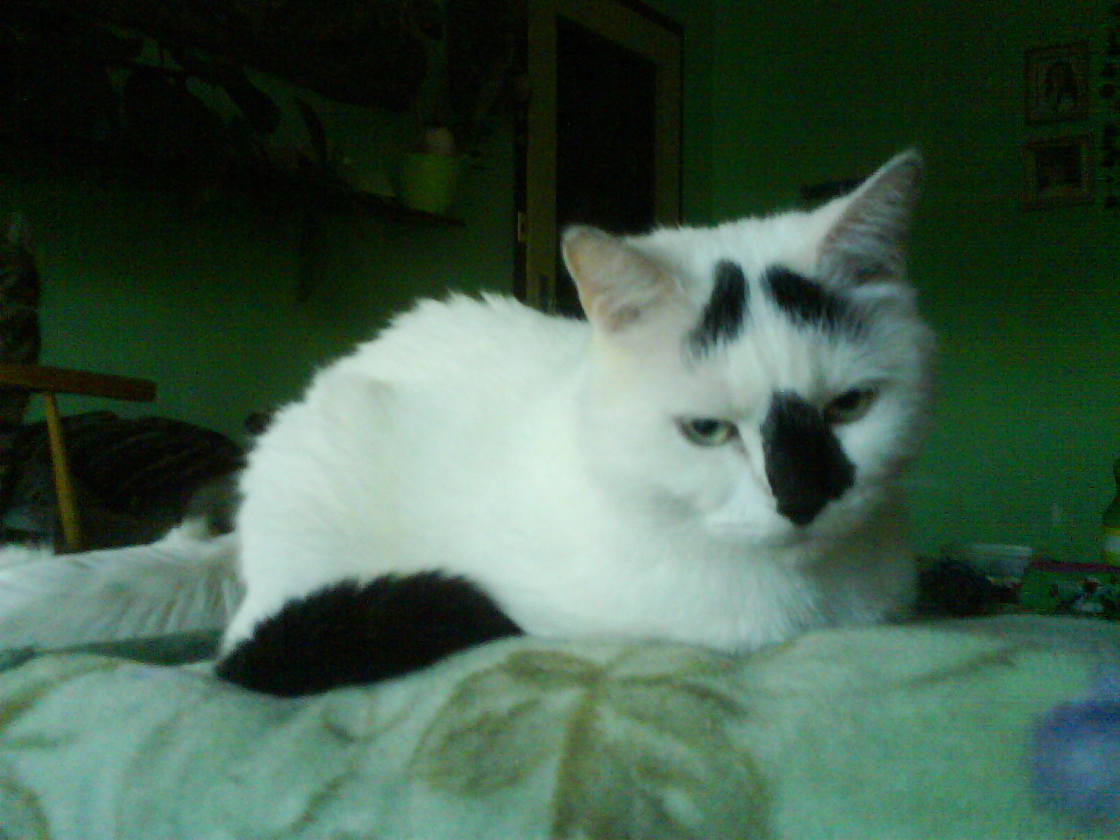 DSC00061