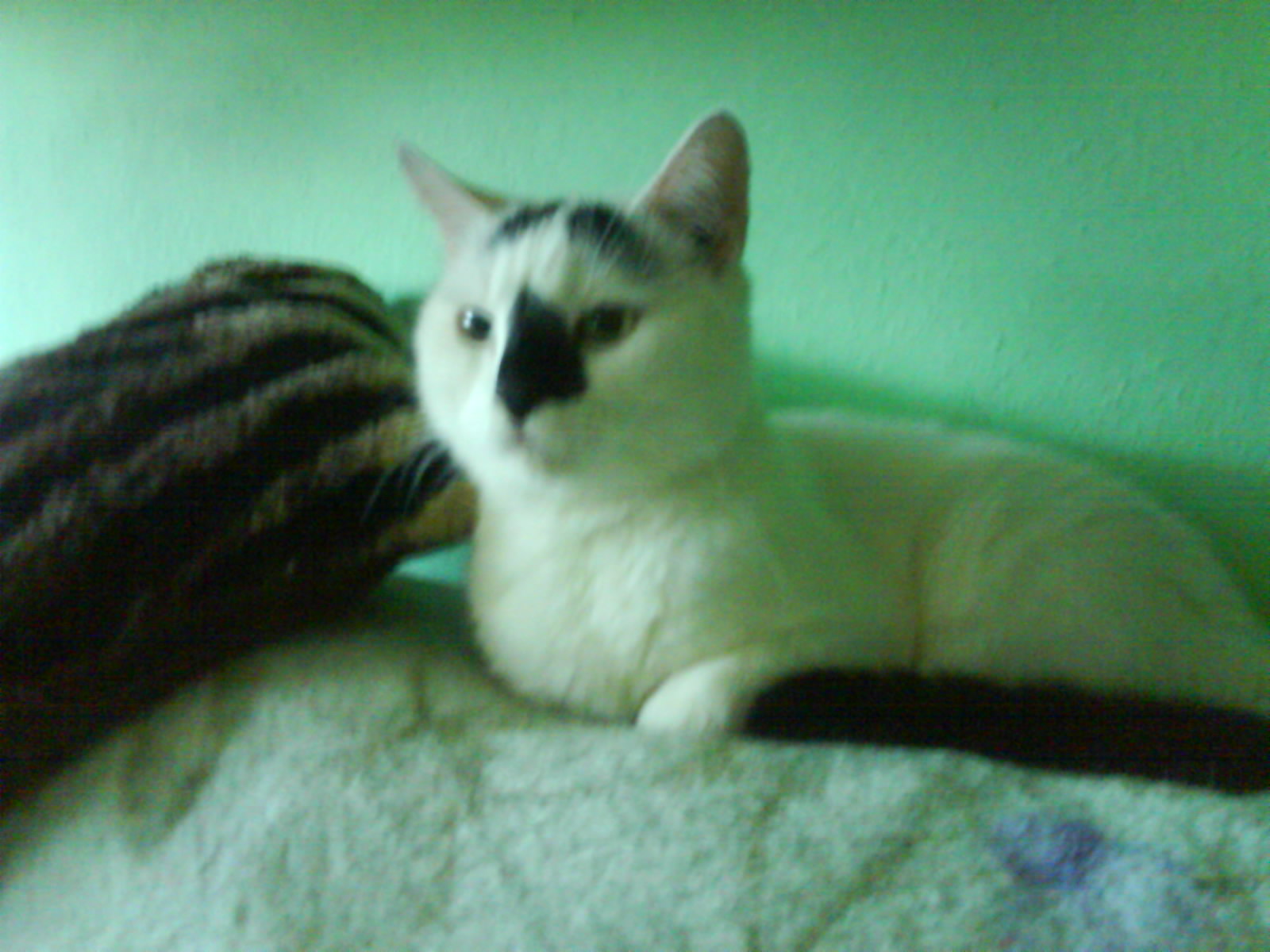 DSC00065
