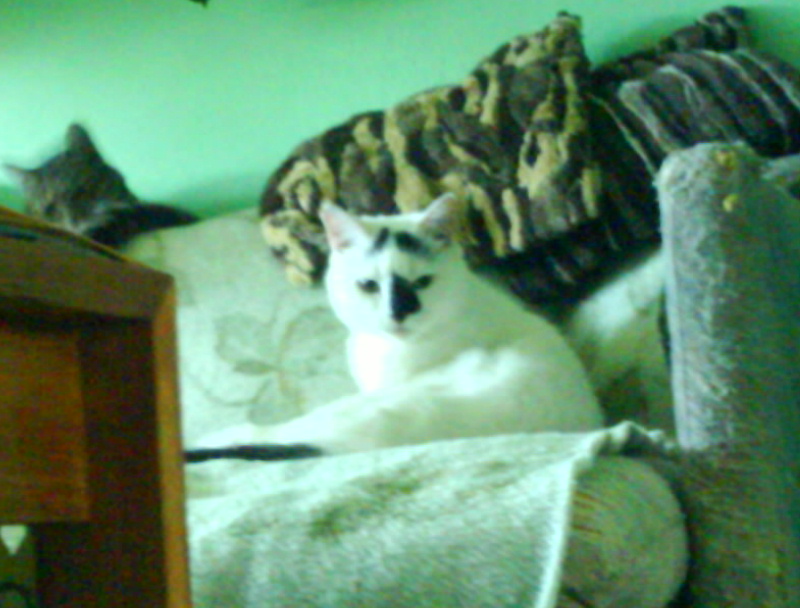 DSC00085
