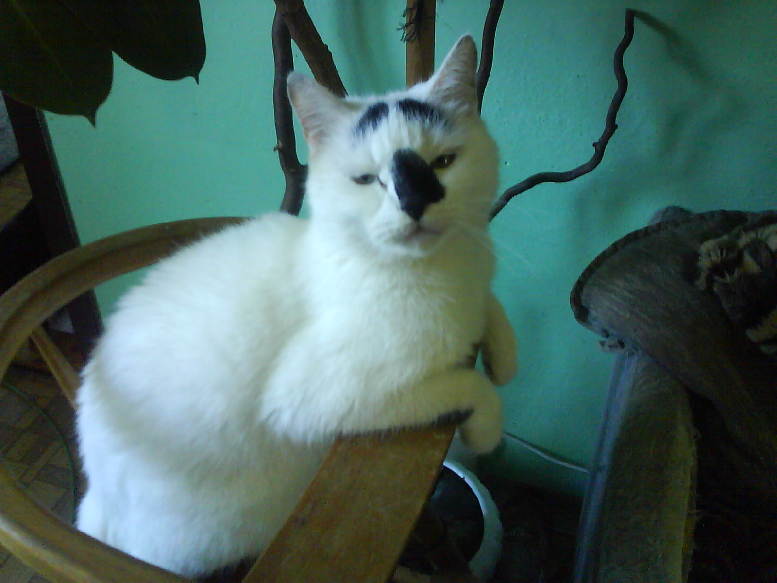 DSC00091