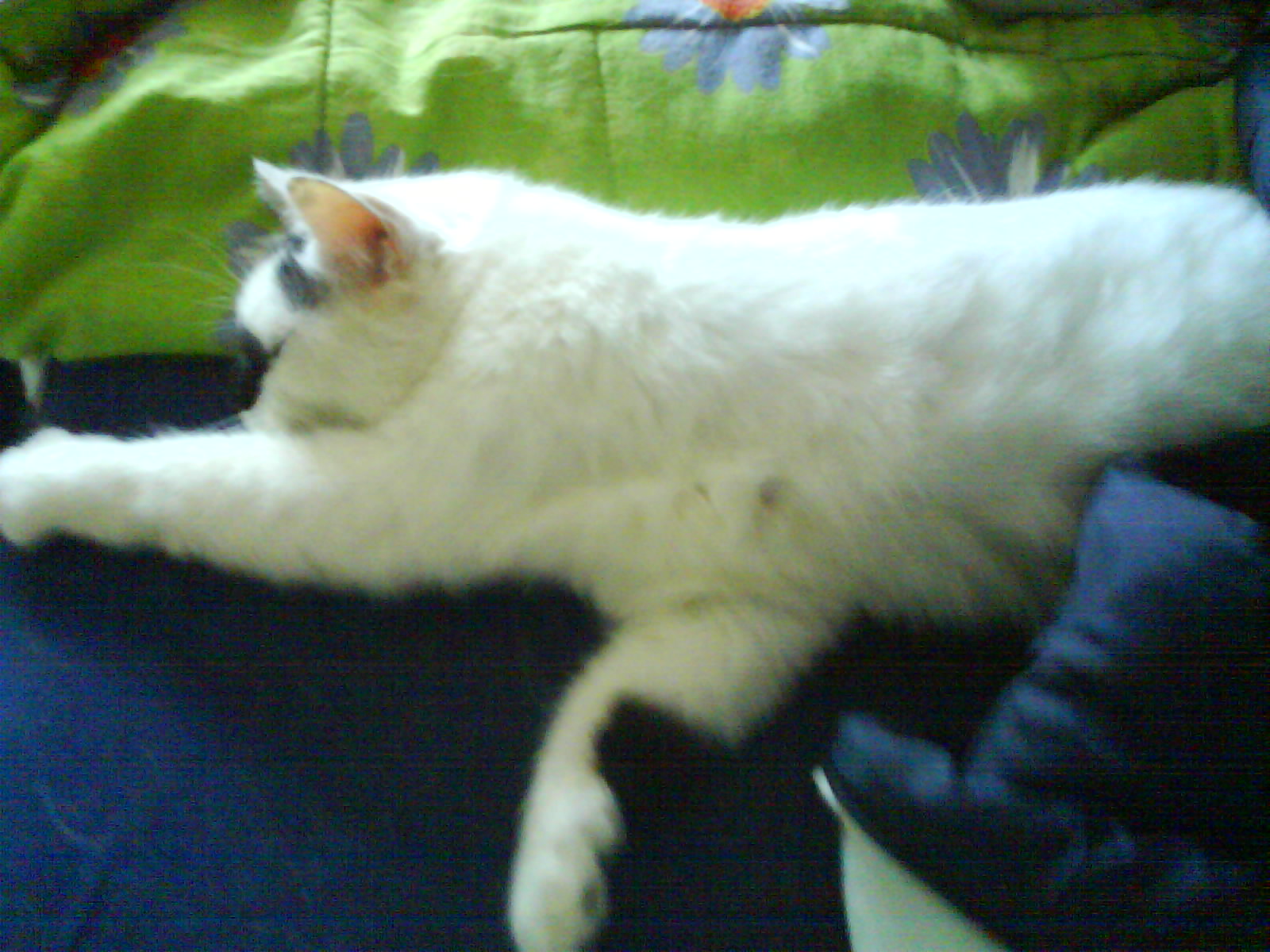 DSC00125