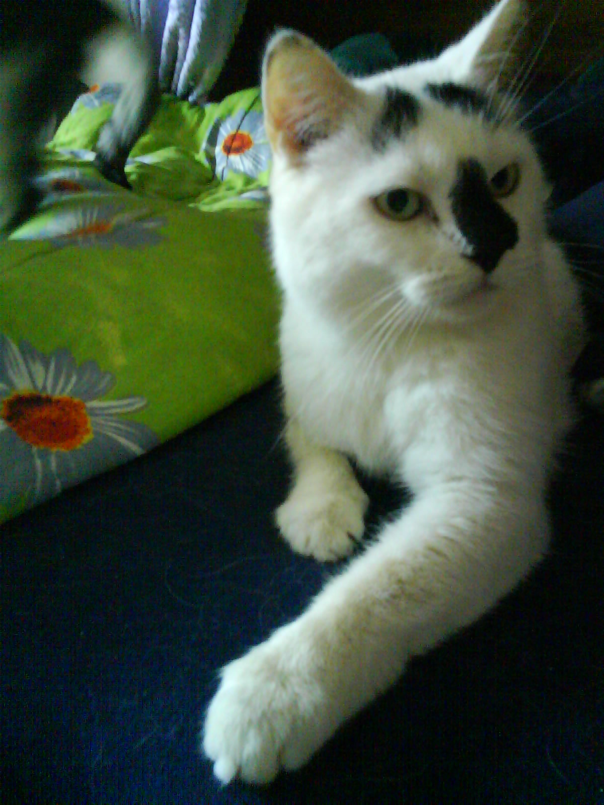 DSC00131