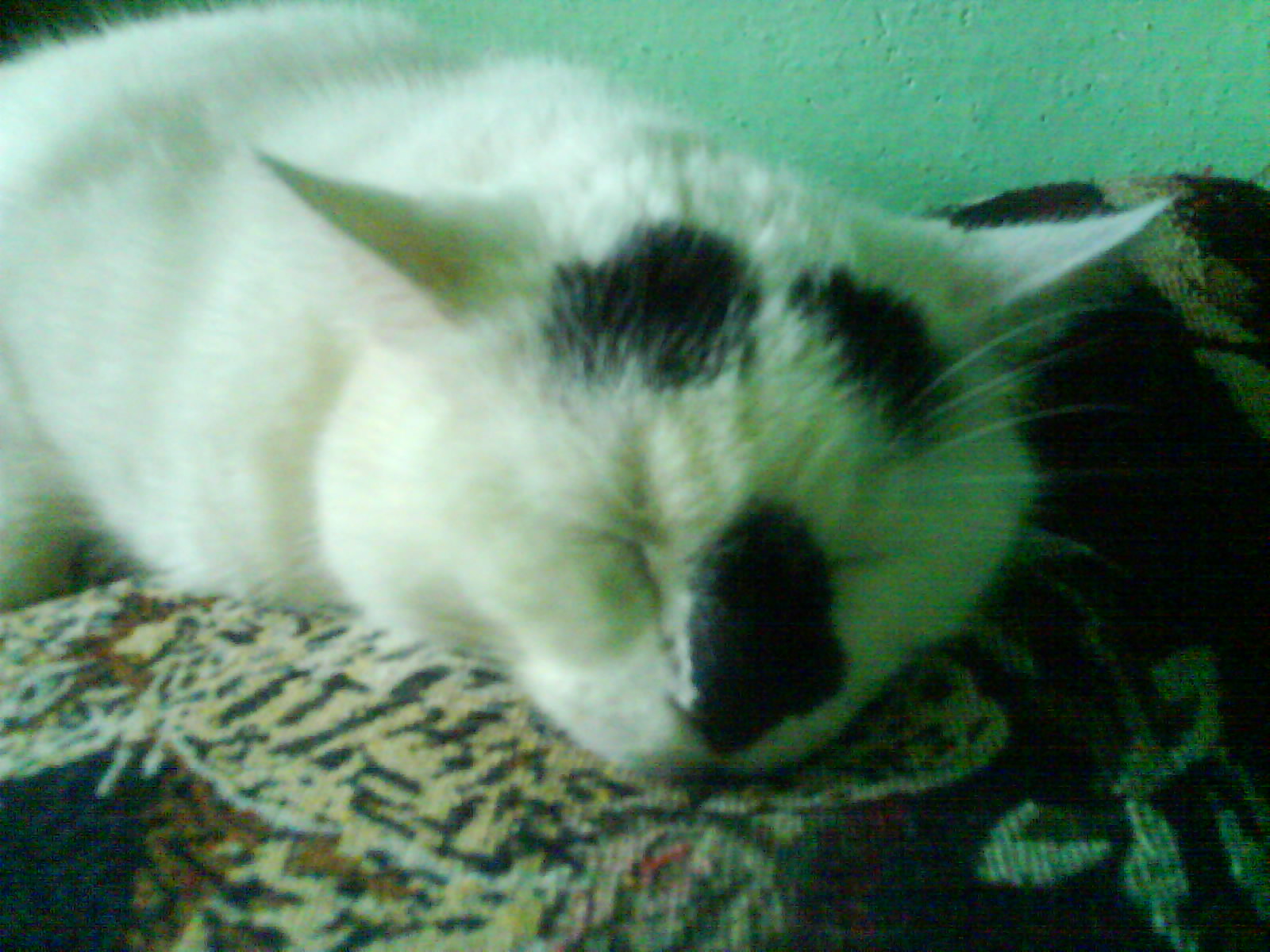 DSC00609