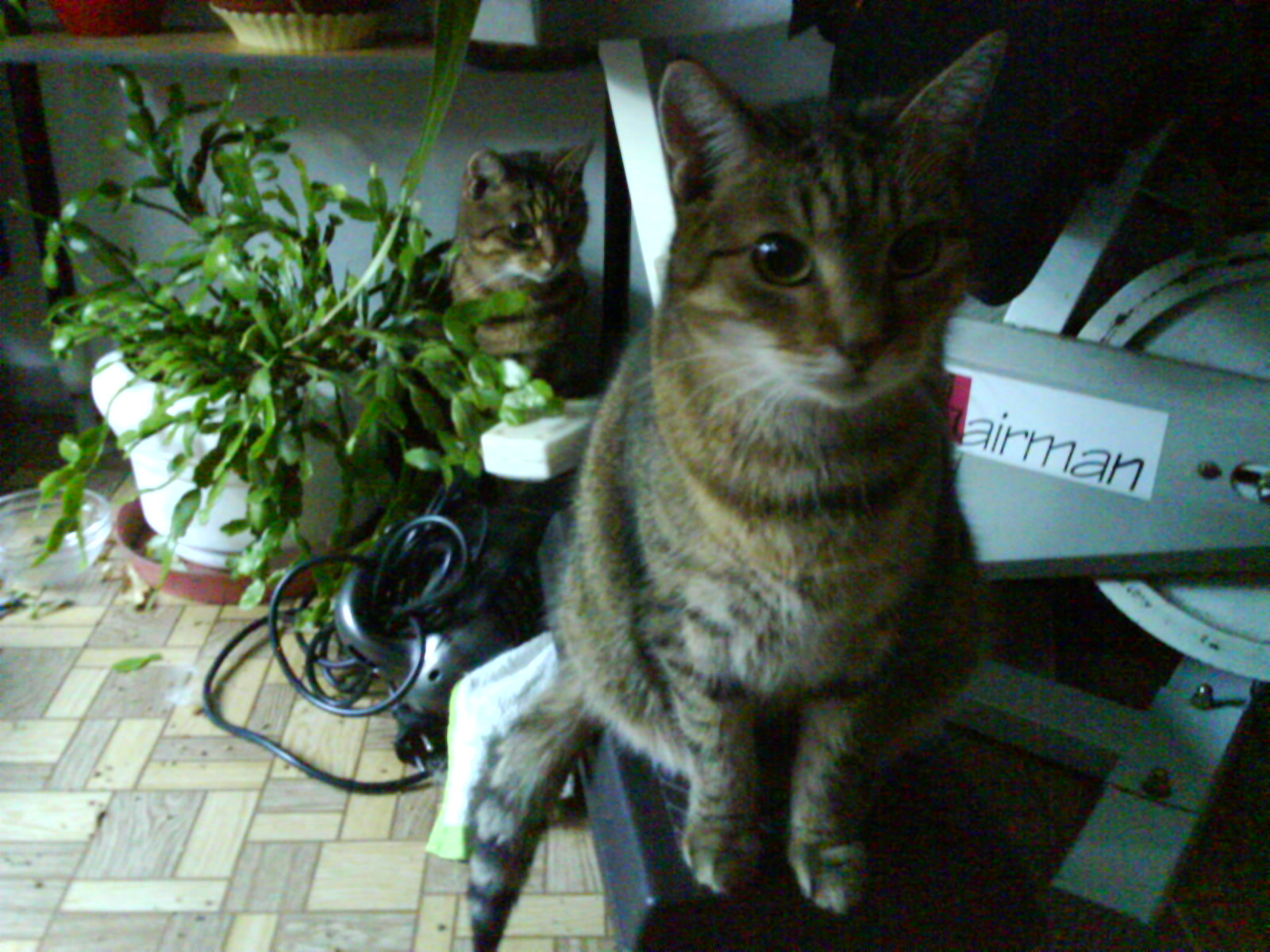 DSC00102