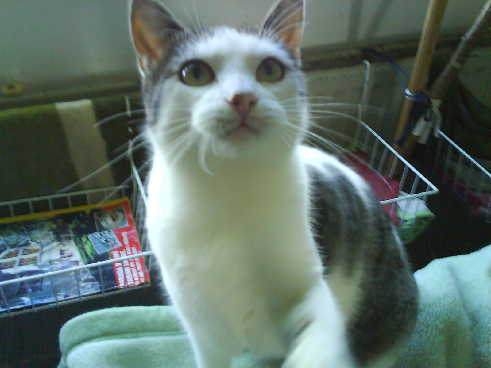 DSC00021