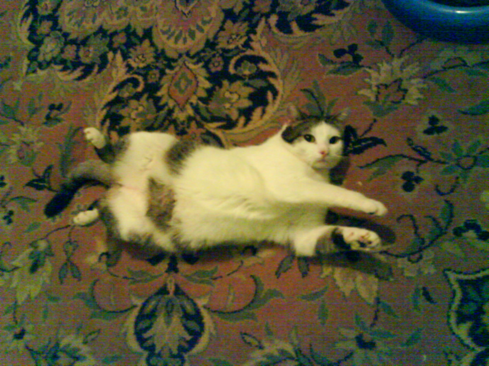 DSC00128
