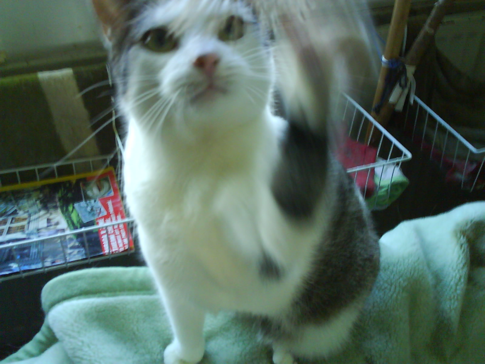 DSC00130