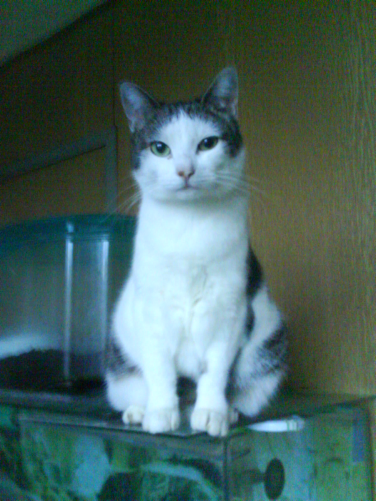 DSC00181