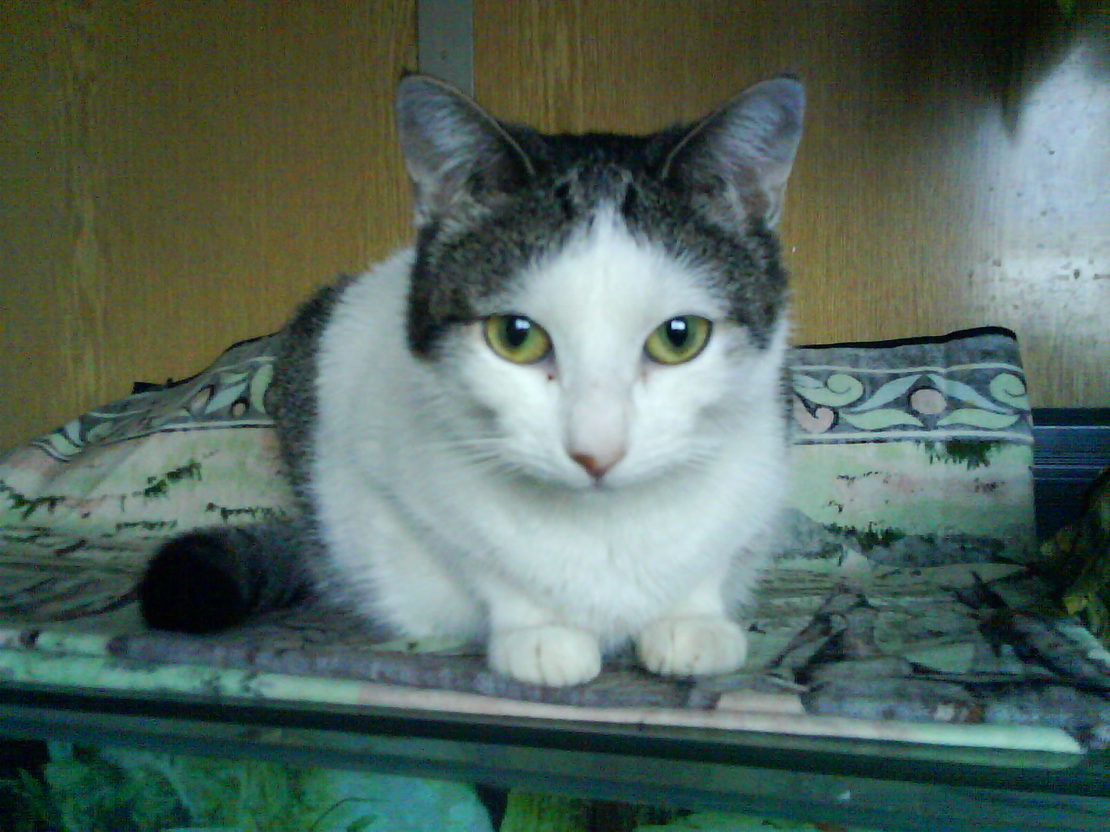 DSC00291