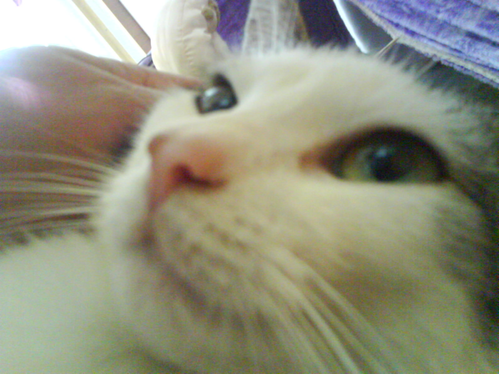 DSC00410