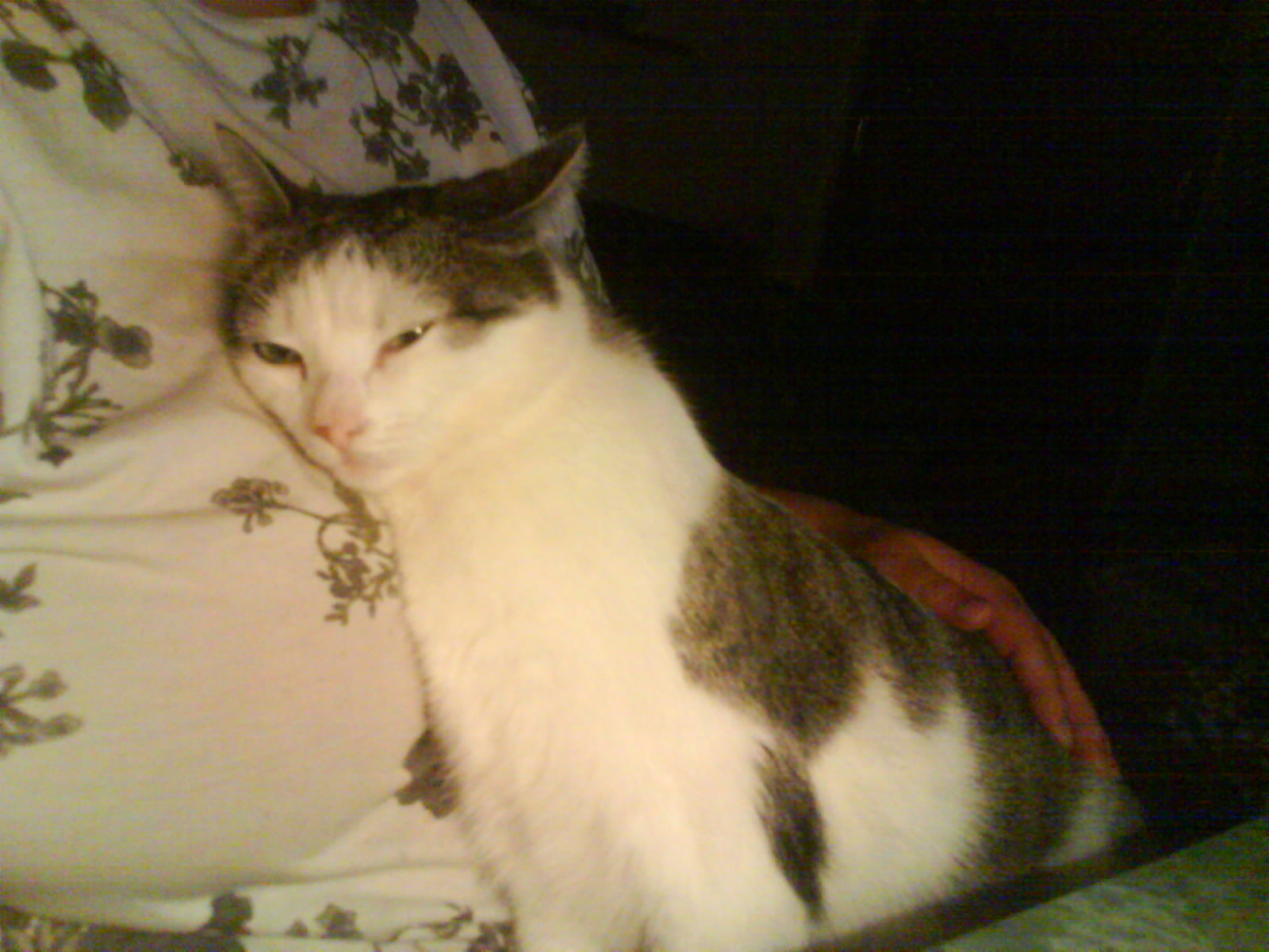 DSC00434