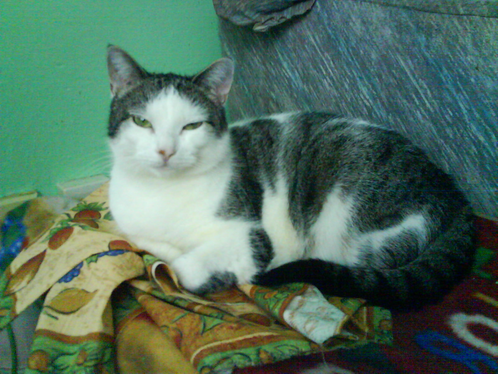 DSC00448