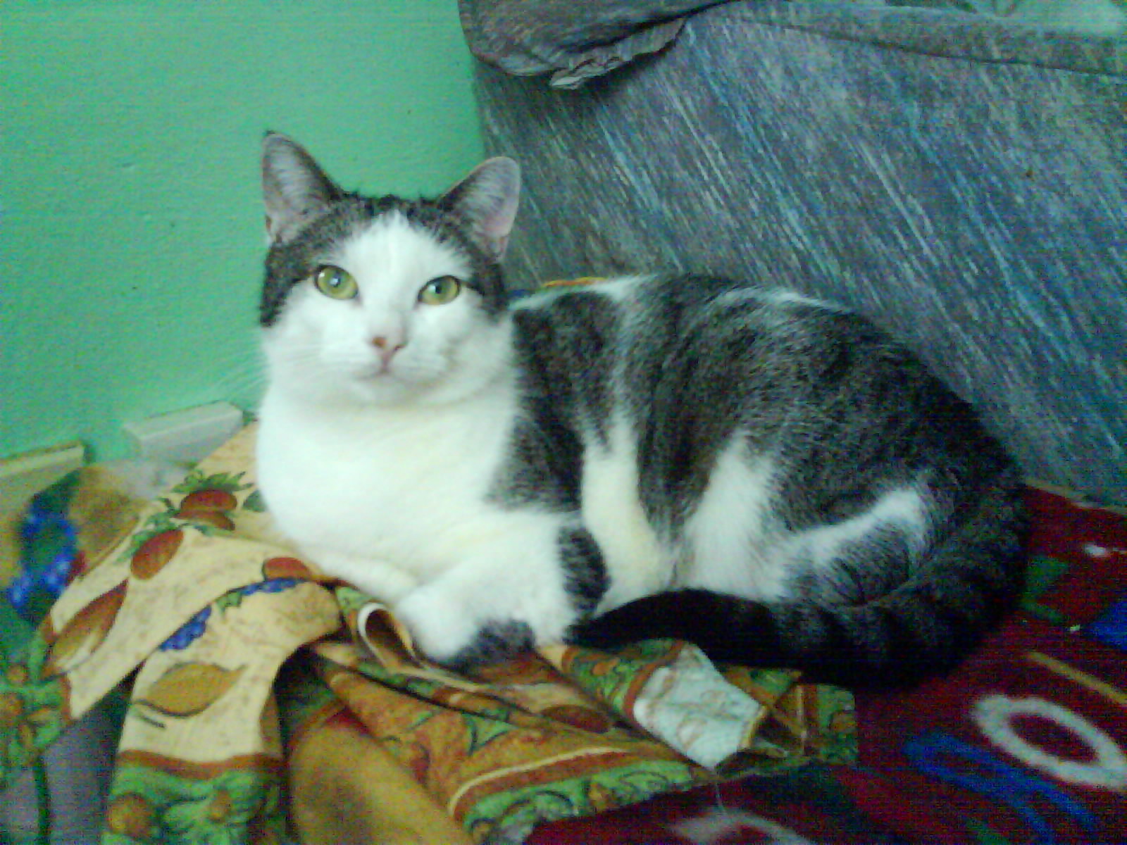 DSC00449