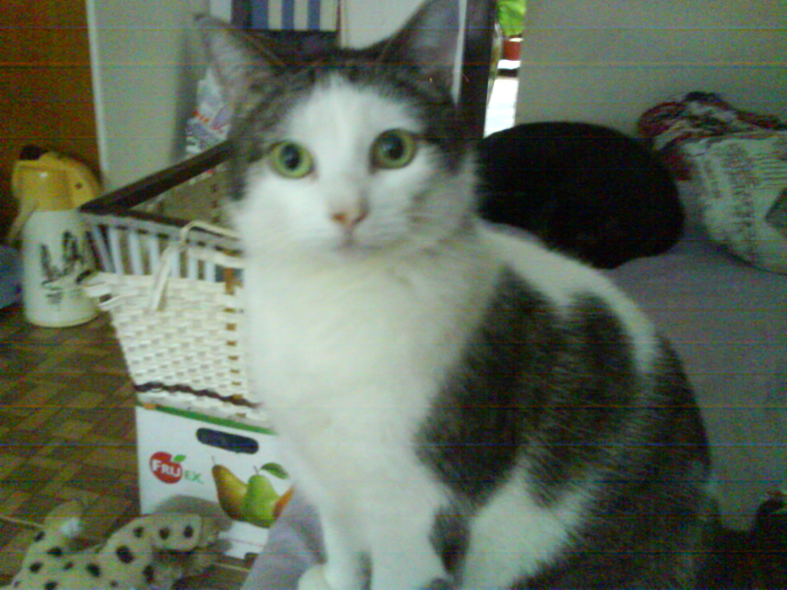 DSC00481